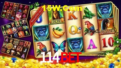A Experiência Imersiva dos Cassinos Ao Vivo no 114Bet